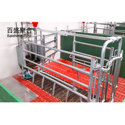 ISO9001 2008/CE/BV Certified Pig Farming Business Plan for Customized Cages and Pen