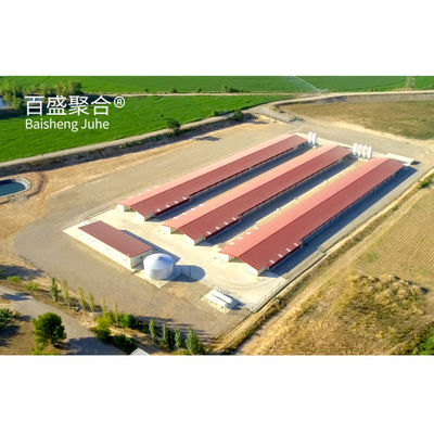 ±1% Tolerance Fast Build Steel Structure Chicken Coop House for Prefab Poultry Farm