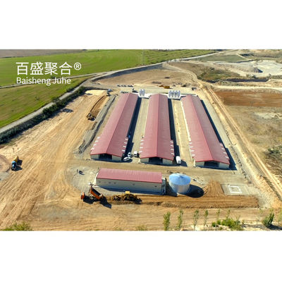 ±1% Tolerance Fast Build Steel Structure Chicken Coop House for Prefab Poultry Farm