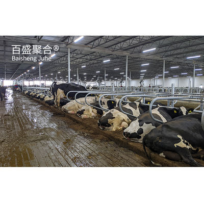 AiSi Standard Prefabricated Steel Structure Cowshed for Cow and Dairy Farm Certified