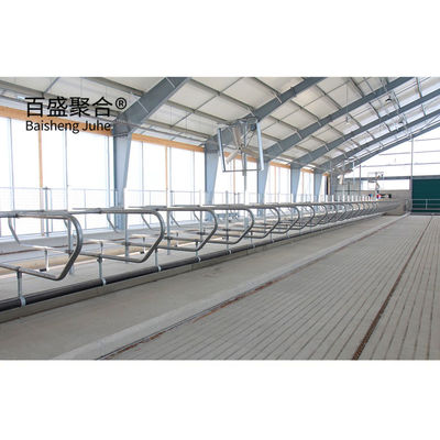 AiSi Standard Prefabricated Steel Structure Cowshed for Cow and Dairy Farm Certified