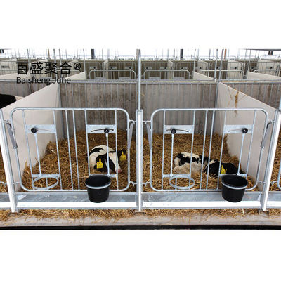 AiSi Standard Prefabricated Steel Structure Cowshed for Cow and Dairy Farm Certified