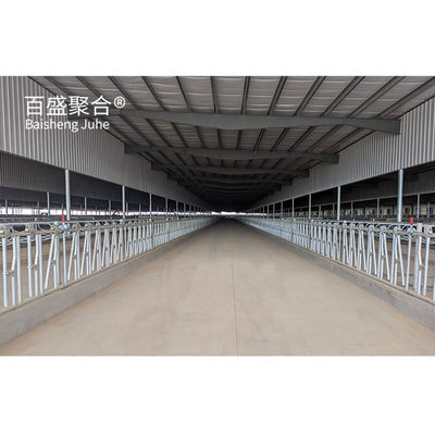 Fast Erected Q235 Low Carbon Steel Cowshed with Tolerance ±1% Professional Designed