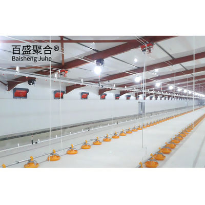 Hot Dip Galvanised C.Z Shape Steel Channel Prefabricated Chicken House for Poultry Farm