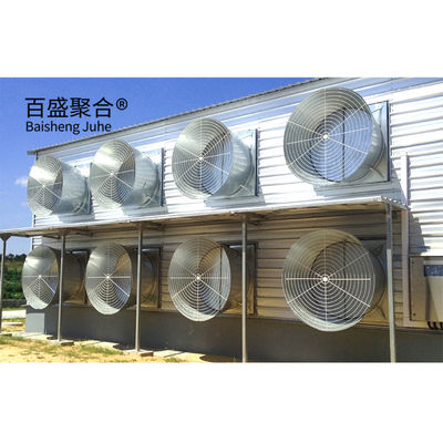 Hot Dip Galvanised C.Z Shape Steel Channel Prefabricated Chicken House for Poultry Farm