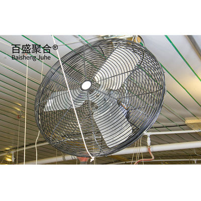 Hot Dip Galvanised C.Z Shape Steel Channel Prefabricated Chicken House for Poultry Farm