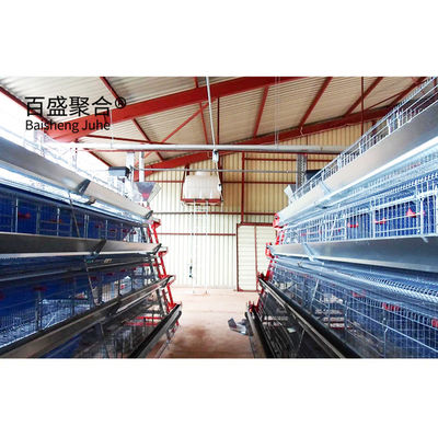 Hot Dip Galvanised C.Z Shape Steel Channel Prefabricated Chicken House for Poultry Farm