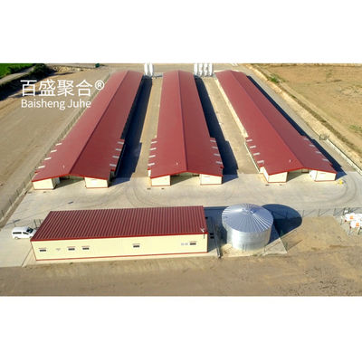 Hot Dip Galvanised C.Z Shape Steel Channel Prefabricated Chicken House for Poultry Farm