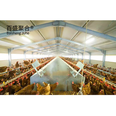 Custom Colors Design Commercial Broiler Chicken Cages with Automatic Poultry Feeding