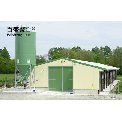 Custom Colors Design Commercial Broiler Chicken Cages with Automatic Poultry Feeding