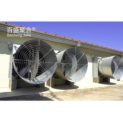 Custom Colors Design Commercial Broiler Chicken Cages with Automatic Poultry Feeding