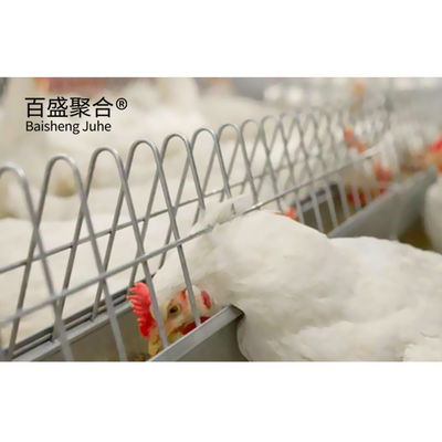 Custom Colors Design Commercial Broiler Chicken Cages with Automatic Poultry Feeding