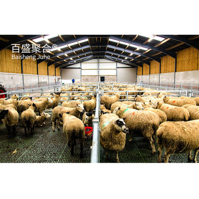 Custom Colors Steel Beams Prefab Animal Shed for Sheep/Cattle/Pig/Cow/Goat Farming House