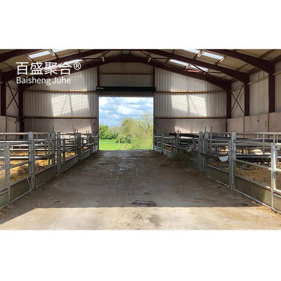 Custom Colors Steel Beams Prefab Animal Shed for Sheep/Cattle/Pig/Cow/Goat Farming House