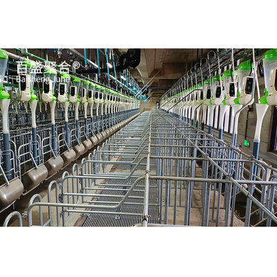 Hot Dip Galvanised/Paint Spraying Steel Structures for Pig Farm Warehouse Frame House