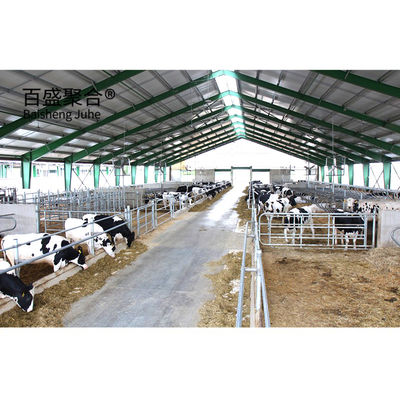 Modern Design Steel Structure Cow Cattle Dairy Milking Farm Shed Building with Steel Beams H Beams