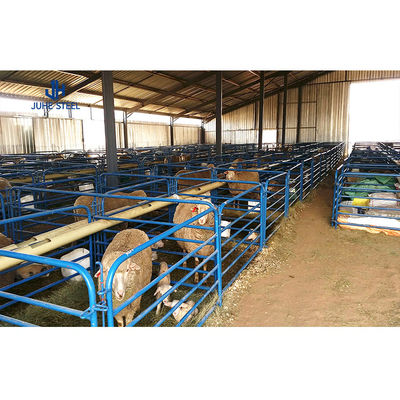 s Prefabricated Pig Farm House with Steel Structure and Single Steel Sheet Roofing Wall