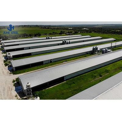 Customized Steel Poultry Farming Equipment for Chicken House Design and Construction