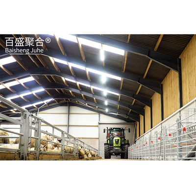 Steel Structure Piggery House Design for Pig Farming Tolerance ±1% MTS Drawing Design