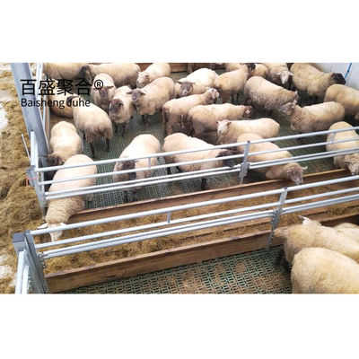 Steel Structure Piggery House Design for Pig Farming Tolerance ±1% MTS Drawing Design