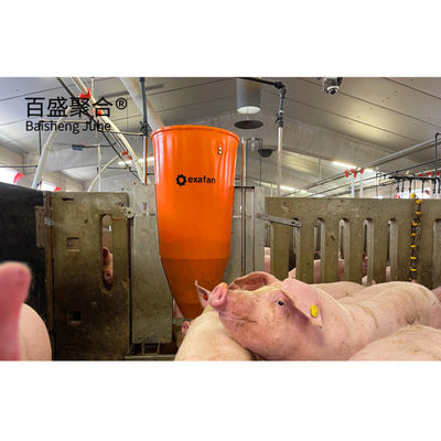 Steel Structure Piggery House Design for Pig Farming Tolerance ±1% MTS Drawing Design