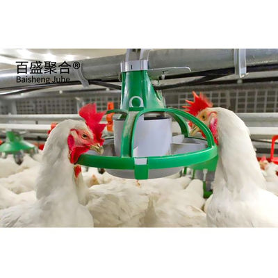 Light Steel Frame Broiler Poultry Shed with Sandwich Panel Roofing and Custom Colors