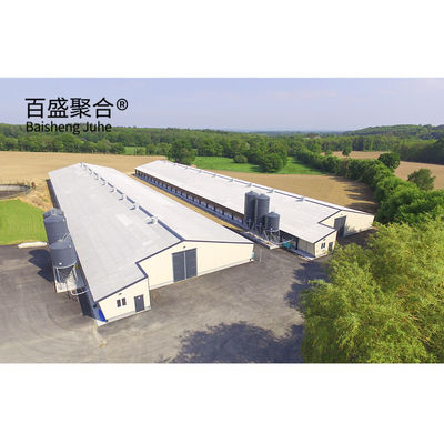 Light Steel Frame Broiler Poultry Shed with Sandwich Panel Roofing and Custom Colors