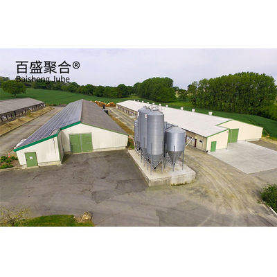 Light Steel Frame Broiler Poultry Shed with Sandwich Panel Roofing and Custom Colors