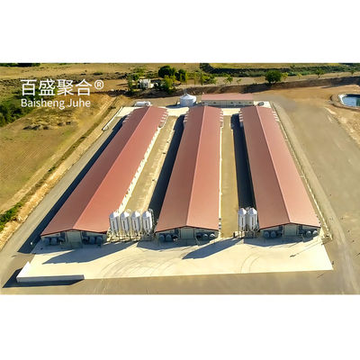 Light Steel Frame Broiler Poultry Shed with Sandwich Panel Roofing and Custom Colors