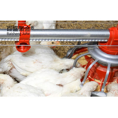 ISO9001 2008/CE/BV Certified Steel Frame Chicken Farm for Open Side Poultry Shed Type