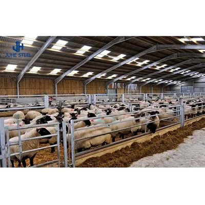 Custom-Design Prefabricated Steel Structure Industrial Building with Metal Frame Hall