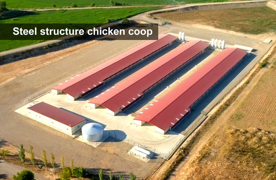 Steel Farming Prefabricated Poultry Farm Construction with Chicken Cages and Metal Sheds