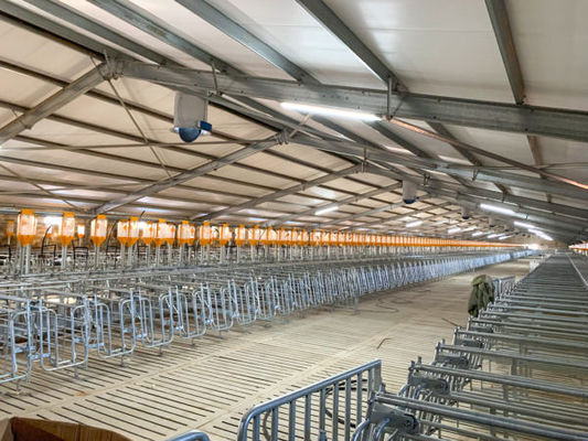 Cabin House Poultry Farm Design with Industrial Building and C.Z Shape Steel Channel