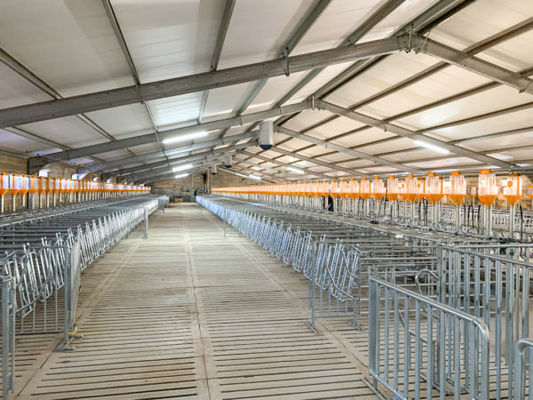 Cabin House Poultry Farm Design with Industrial Building and C.Z Shape Steel Channel