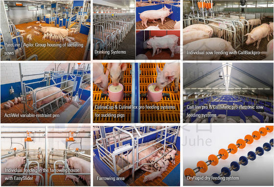 Cabin House Poultry Farm Design with Industrial Building and C.Z Shape Steel Channel