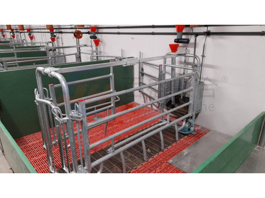 Cabin House Poultry Farm Design with Industrial Building and C.Z Shape Steel Channel