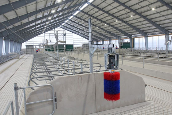 Cutting Service Prefabricated Steel Structure Building for Horse Stable Construction