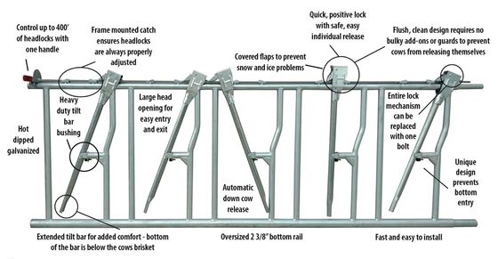 Cutting Service Prefabricated Steel Structure Building for Horse Stable Construction