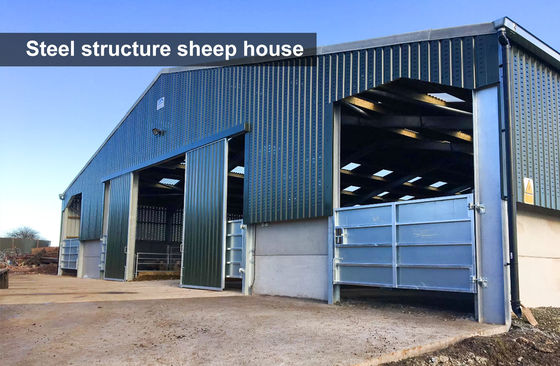 Steel Farming Suppliers Steel Structure Chicken Broiler House Design Layout for Horse Barn