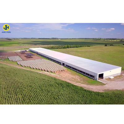 Heavy Steel Structure Poultry Farm Chicken House with Window and Aluminum Alloy Window