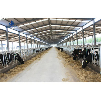 AiSi Standard Welding Dairy Cow Farm Shed House with Customized Processing