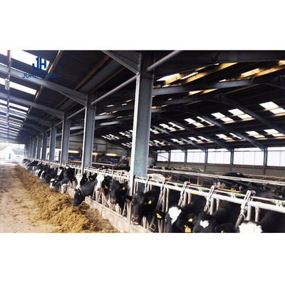 Customized Color Light Steel Structure Goat Farm House Sheep Shed Cattle Farm Cow Shed Construction