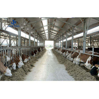 Customized Color Light Steel Structure Goat Farm House Sheep Shed Cattle Farm Cow Shed Construction
