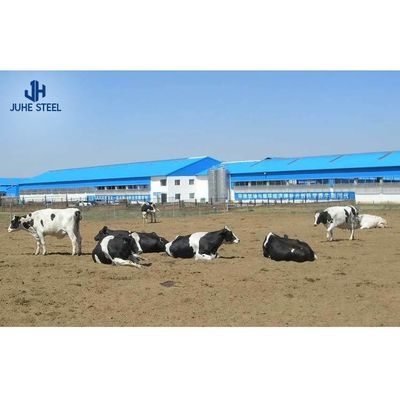 Prefabricated Steel Cow Milk Farm House with Sandwich Panel Roofing and Rolling Door