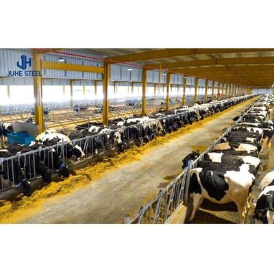 Prefabricated Steel Cow Milk Farm House with Sandwich Panel Roofing and Rolling Door