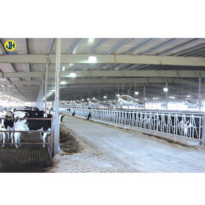 Low Maintenance Poultry Farm Equipment for Broiler Chicken Feeding in Steel Structure