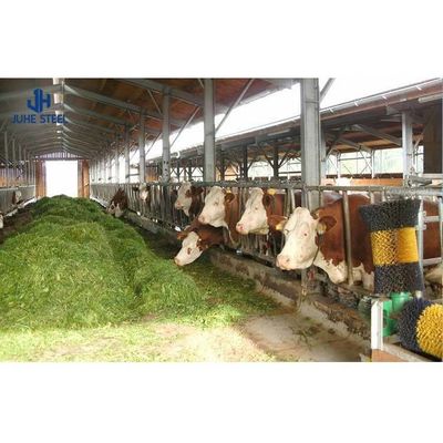Sliding Door Steel Cattle Shed for Cow and Bull Solid H-shape Steel Beam Main Frame
