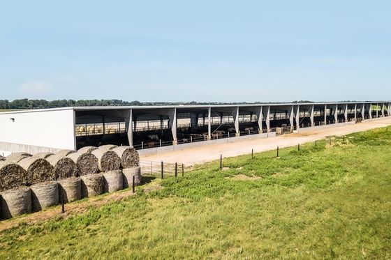 Steel Farming and Livestock Construction 80kg Round Straw Baler with Cutting Service