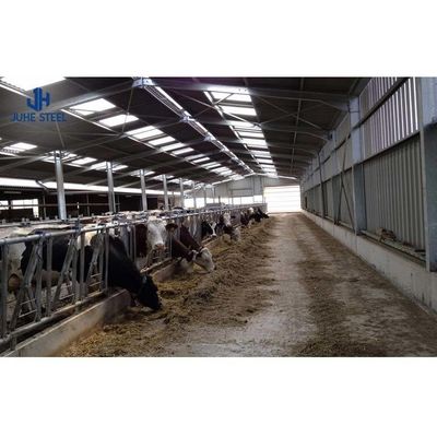 Light Steel Frame Prefabricated Dairy Cow Farm Shed with Sandwich Panel and PVC Window
