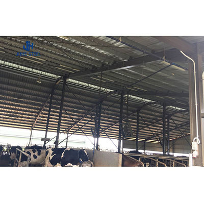 Highly Flexible Light Steel Structure Cattle Tent For Livestock Shelter Length 60-200m